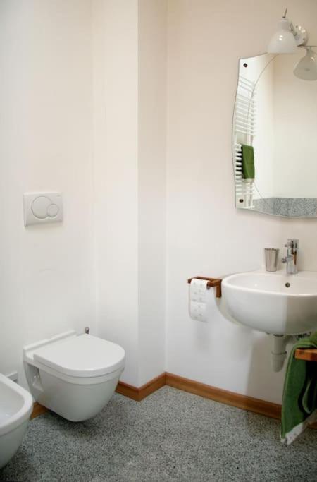 Lovely Apt In Pinzolo Val Rendena 7 외부 사진
